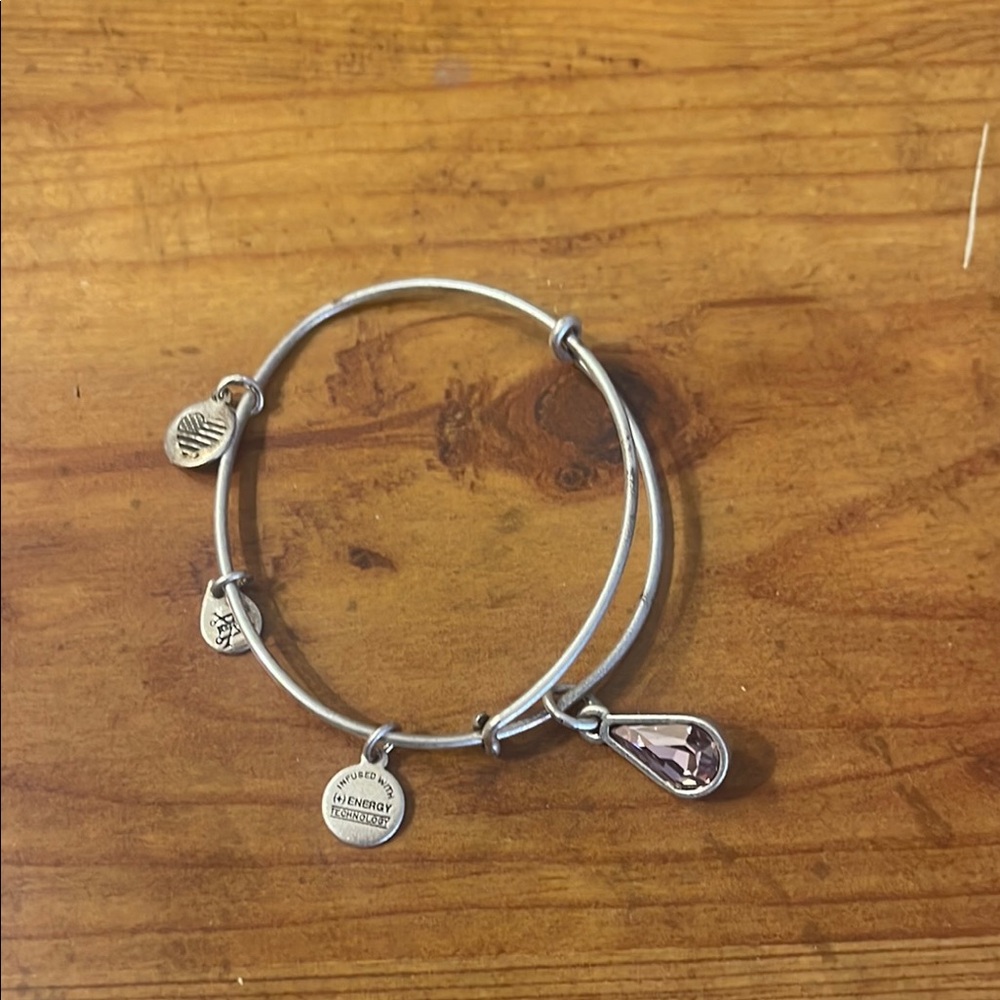 Alex and Ani Silver Charm Bracelet with Purple Stone